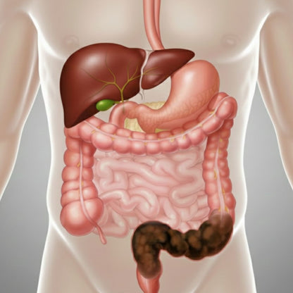 LIV – Ligereza que fluye