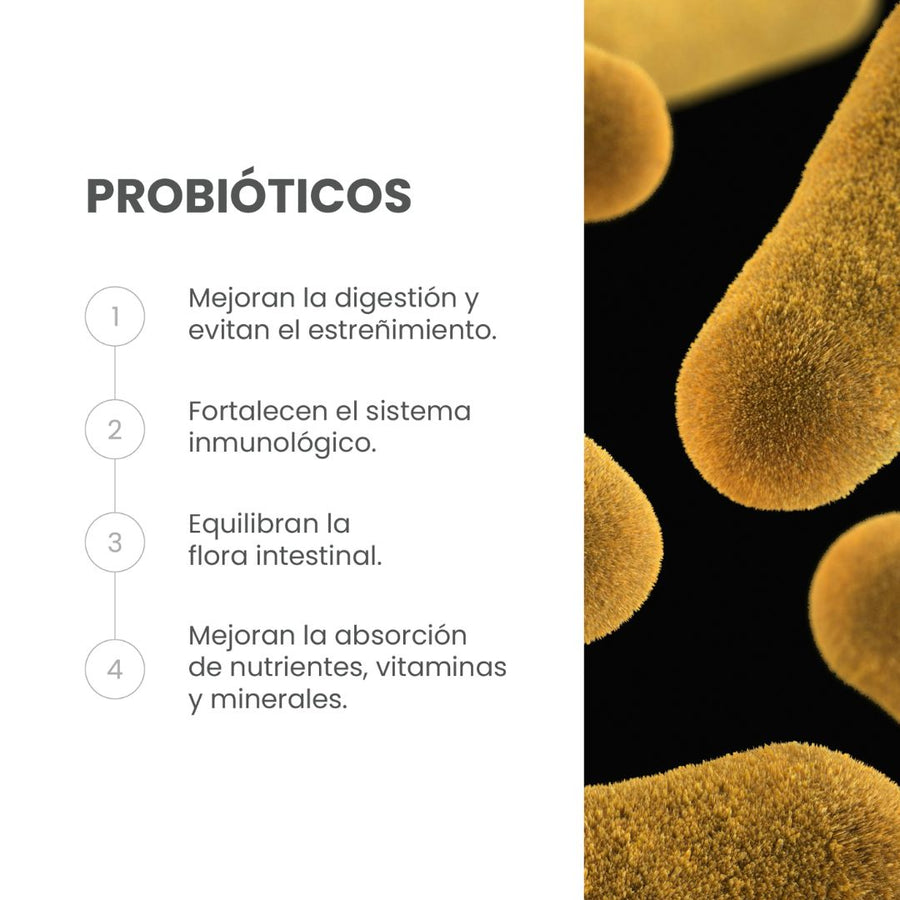 Probióticos