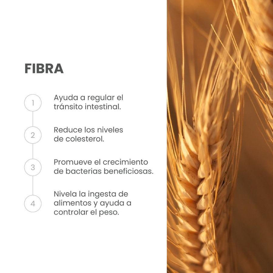 Fibra